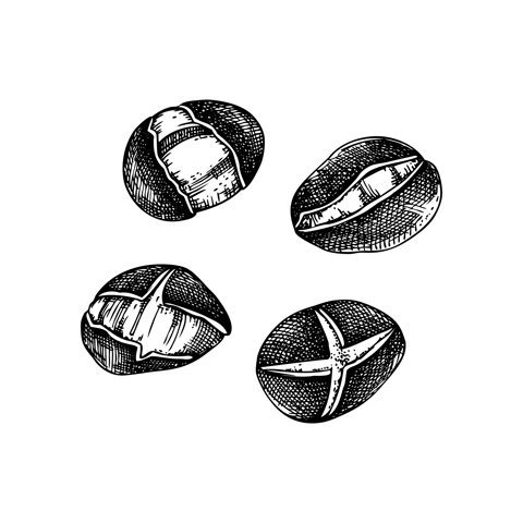 Roasted chestnut sketches set. Hand-drawn vector illustration. Traditional European Christmas market, fast food design element in engraved style for label and packaging.